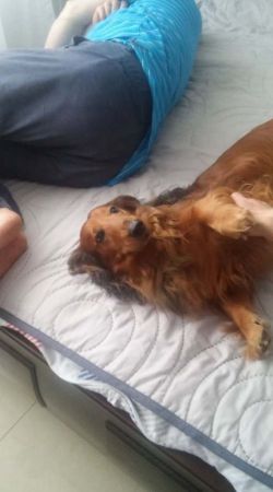 Du�e ��zio i mzianki bardzo wskazane.